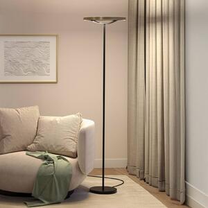 Paulmann LED stojací lampa Melira, černá/zlatá, výška 157 cm, stmívatelný, Černá, Obývací pokoj / jídelna, kov, Moderní