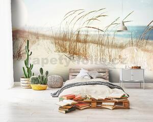 Vliesové fototapety 14596V8, rozměr 368 cm x 254 cm, stébla trávy na pláži, IMPOL TRADE