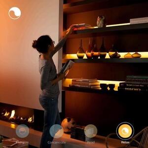 Hue WACA Lightstrips plus LED pásek 11,5W 1030lm 2000-6500K RGB IP20 prodloužení 1m