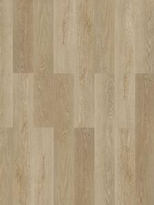 Experto SPC 50 Dub Bari 88065L-008, 2,2082m2
