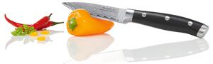 ERNESTO® Kuchyňský nůž z damascenské oceli (nůž na zeleninu s rukojetí s nýty) (100339029002)
