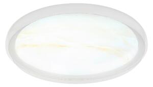 STROPNÍ LED SVÍTIDLO, 38,5/8 cm Globo - Online Only svítidla, Online Only