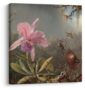 Obraz - Martin Johnson Heade, Cattleya Orchid and Three Hummingbirds, reprodukce (30x30 cm)