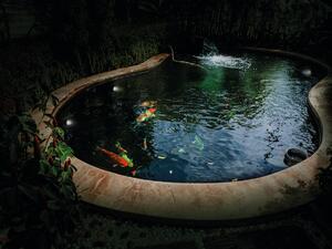 KANLUX Venkovní bazénové LED osvětlení AKVEN, zelené, IP68 25720
