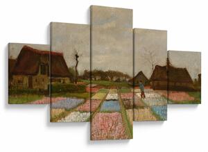 Obraz - Vincent van Gogh, Flower Beds in Holland, reprodukce (125x70 cm)