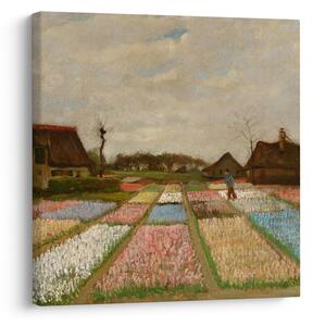 Obraz - Vincent van Gogh, Flower Beds in Holland, reprodukce (30x30 cm)