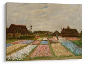 Obraz - Vincent van Gogh, Flower Beds in Holland, reprodukce (70x50 cm)