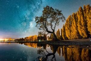 Obraz strom pod hvězdnou oblohou - 60x40 cm