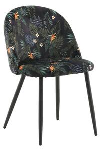 Jídelní židle Velvet, 2ks, černá, S50,5xD55xV78
