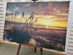 Obraz západ slunce na pláži - 60x40 cm