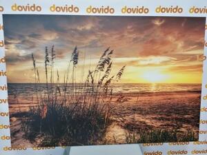 Obraz západ slunce na pláži - 90x60 cm