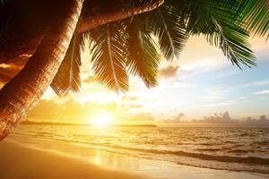 Obraz východ slunce na karibské pláži - 60x40 cm