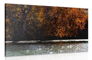 Obraz odraz listí v jezeře - 120x80 cm