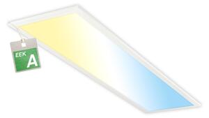 Briloner LED stropní panel (bílá EEK A) (100396566003)