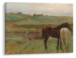 Obraz - Edgar Degas, Horses in a Meadow, reprodukce (70x50 cm)