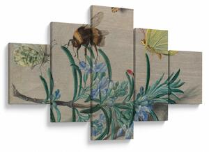 Obraz - Jan van Kessel the Elder, Insects and a Sprig of Rosemary, reprodukce (125x70 cm)