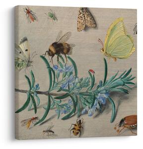 Obraz - Jan van Kessel the Elder, Insects and a Sprig of Rosemary, reprodukce (30x30 cm)