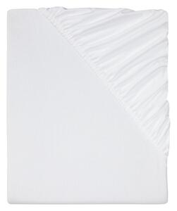 LIVARNO home Žerzejové napínací prostěradlo, 140–160 x 200 cm (bílá) (100341737001)