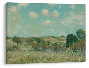 Obraz - Alfred Sisley, Meadow, reprodukce (70x50 cm)