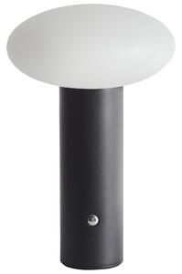 LED bezdrátová stolní lampa BUAYAN se stmívačem Kov Černá