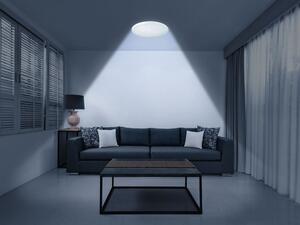 LIVARNO home Stropní LED svítidlo (100342605)