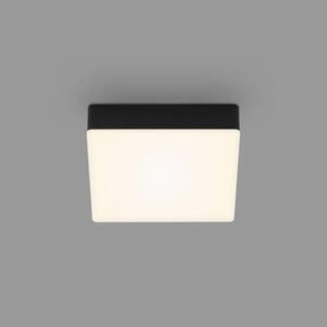 STROPNÍ LED SVÍTIDLO, 15,7/15,7/3,6 cm - Stropní svítidla