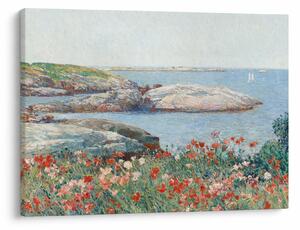 Obraz - Childe Hassam, Poppies, Isles of Shoals, reprodukce (70x50 cm)