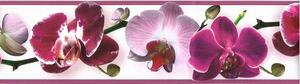 Samolepící bordura B83-07-02, rozměr 5 m x 8,3 cm, květy orchideje fialové, IMPOL TRADE