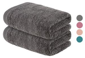 LIVARNO home Froté ručník, 50 x 100 cm, 2 kusy (100343336)