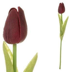 TULIPÁN 34 cm XXXL