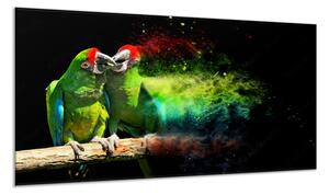 Obraz skleněný papoušek ara vojenská - 70 x 100 cm