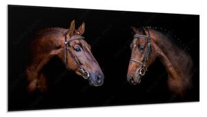 Obraz skleněný dvě hlavy hnědého koně - 30 x 60 cm
