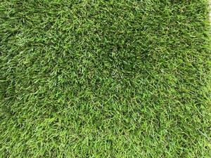 Umělý travní koberec Robina 100x200 cm