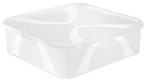 BOX S VÍKEM, 12 l Rotho
