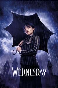 Plakát, Obraz - Wednesday - Umbrella