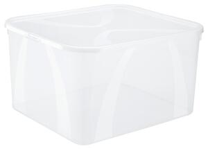 BOX S VÍKEM, 25 l Rotho