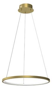 LED Lustr na lanku HOOP LED/27W/230V pr. 50 cm 4000K zlatá