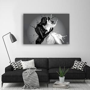 Obraz na plátně Černobílá láska Rozměry: 60 x 40 cm