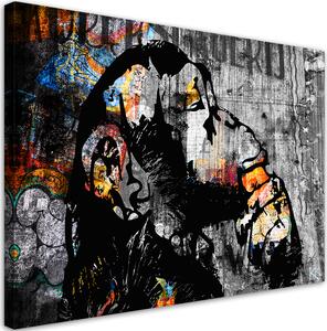Obraz na plátně Banksy street art opice Rozměry: 60 x 40 cm