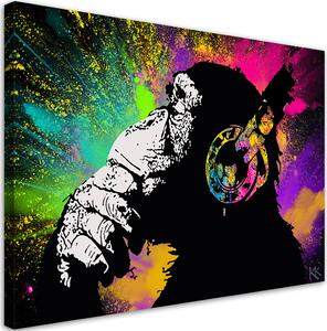 Obraz na plátně Banksy barevná opice Rozměry: 60 x 40 cm