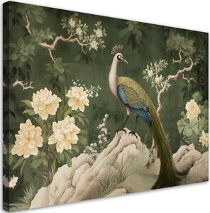 Obraz na plátně Orientální páv na zeleném pozadí Rozměry: 60 x 40 cm