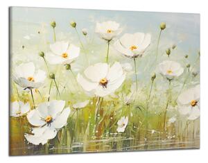 Obraz na plátně Bílé květy na louce