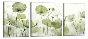 Obraz na plátně Zelené listy lotosu
