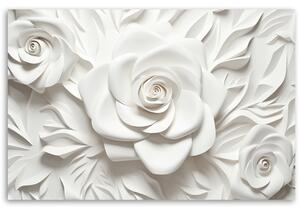 Obraz na plátně Bílé růže Rozměry: 60 x 40 cm
