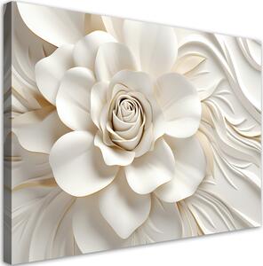 Obraz na plátně Krásná bílá růže Rozměry: 60 x 40 cm