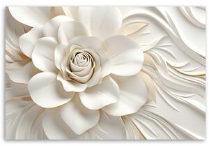 Obraz na plátně Krásná bílá růže Rozměry: 60 x 40 cm