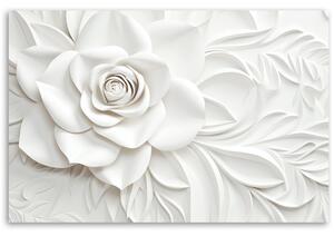Obraz na plátně Nádherná bílá růže Rozměry: 60 x 40 cm
