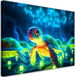 Obraz na plátně Zelené želvy Rozměry: 60 x 40 cm