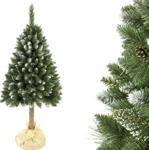 Vánoční stromek Borovice diamantová se šiškou na kmínku 160 cm