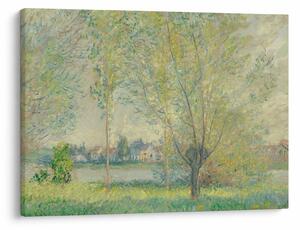 Obraz - Claude Monet, The Willows, reprodukce (70x50 cm)
